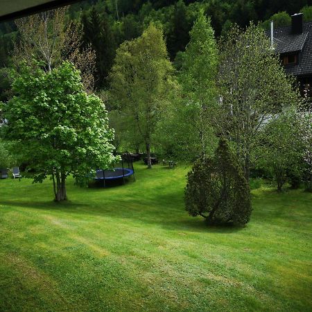 B1 Albmatte-Fewo Sauna, Hallenbad Aussenbecken Massagen Nebenan Menzenschwand-Hinterdorf Extérieur photo
