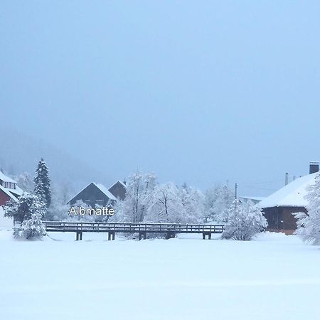 B1 Albmatte-Fewo Sauna, Hallenbad Aussenbecken Massagen Nebenan Menzenschwand-Hinterdorf Extérieur photo