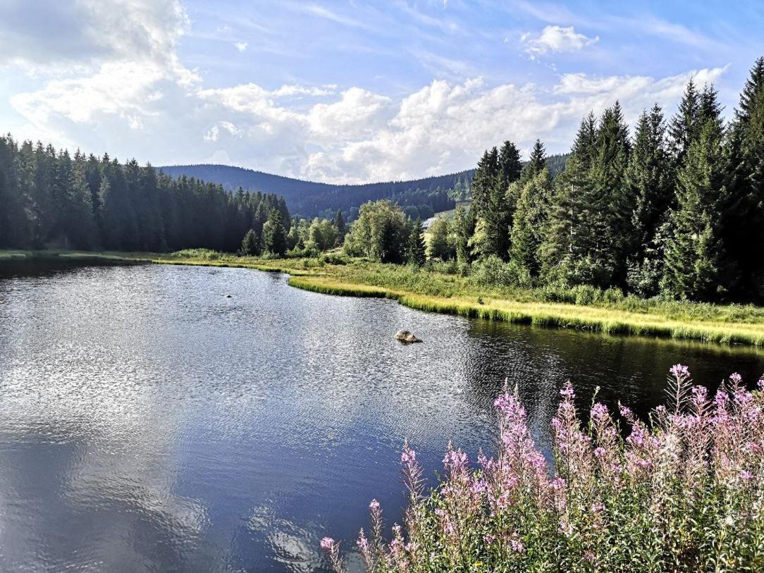 B1 Albmatte-Fewo Sauna, Hallenbad Aussenbecken Massagen Nebenan Menzenschwand-Hinterdorf Extérieur photo