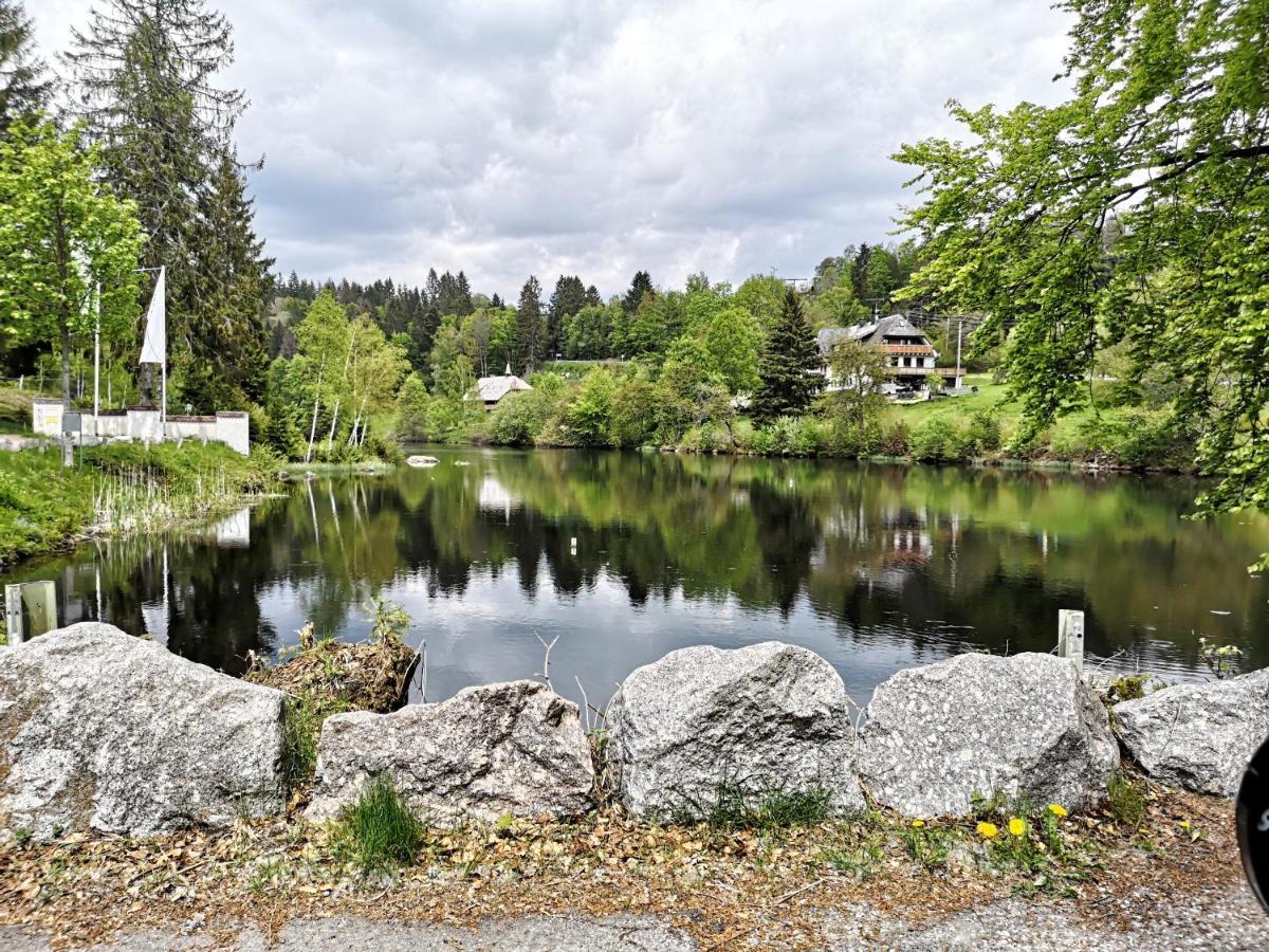 B1 Albmatte-Fewo Sauna, Hallenbad Aussenbecken Massagen Nebenan Menzenschwand-Hinterdorf Extérieur photo