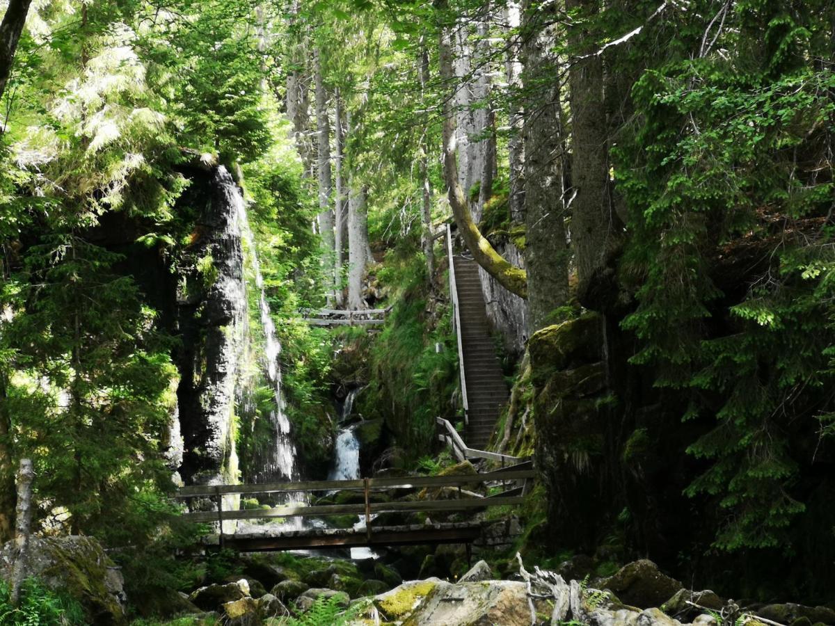 B1 Albmatte-Fewo Sauna, Hallenbad Aussenbecken Massagen Nebenan Menzenschwand-Hinterdorf Extérieur photo