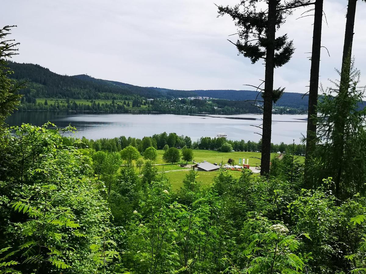 B1 Albmatte-Fewo Sauna, Hallenbad Aussenbecken Massagen Nebenan Menzenschwand-Hinterdorf Extérieur photo