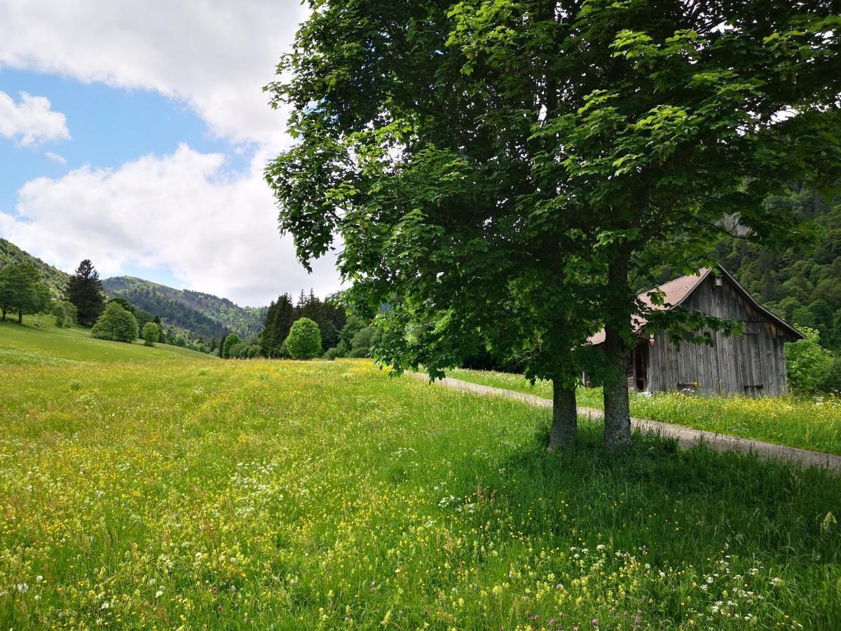 B1 Albmatte-Fewo Sauna, Hallenbad Aussenbecken Massagen Nebenan Menzenschwand-Hinterdorf Extérieur photo