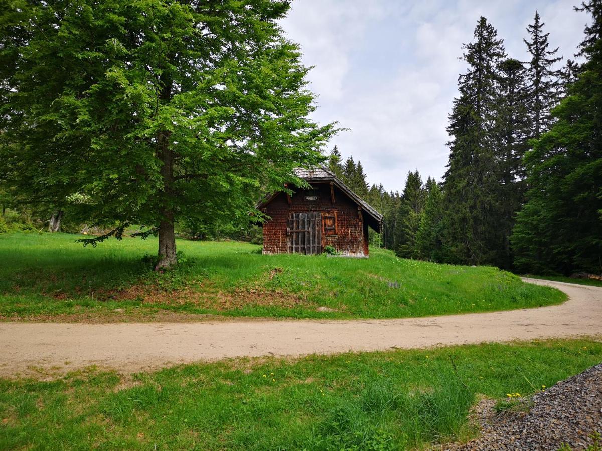 B1 Albmatte-Fewo Sauna, Hallenbad Aussenbecken Massagen Nebenan Menzenschwand-Hinterdorf Extérieur photo
