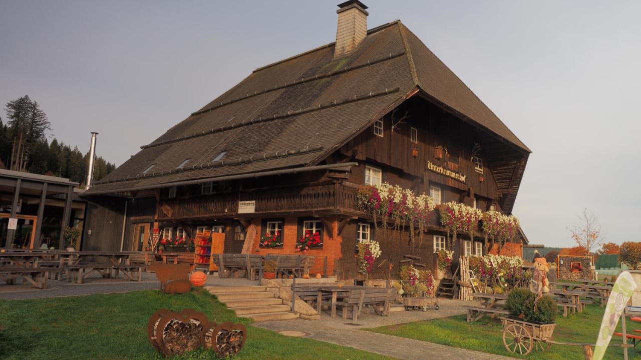 B1 Albmatte-Fewo Sauna, Hallenbad Aussenbecken Massagen Nebenan Menzenschwand-Hinterdorf Extérieur photo