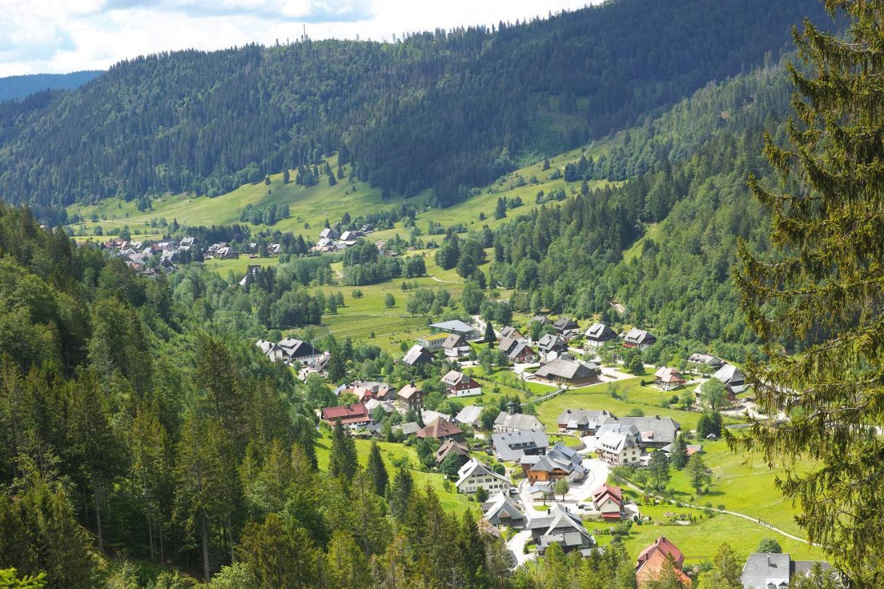 B1 Albmatte-Fewo Sauna, Hallenbad Aussenbecken Massagen Nebenan Menzenschwand-Hinterdorf Extérieur photo