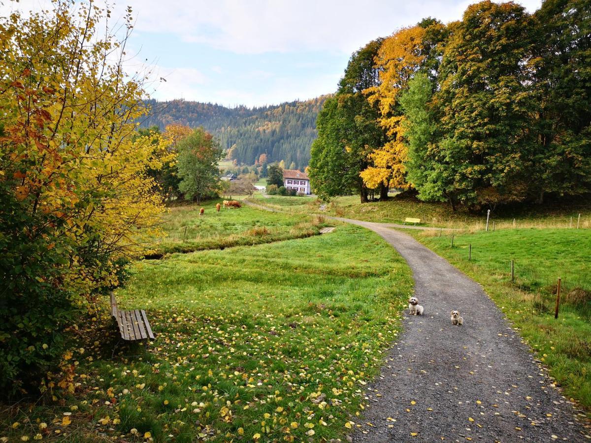 B1 Albmatte-Fewo Sauna, Hallenbad Aussenbecken Massagen Nebenan Menzenschwand-Hinterdorf Extérieur photo