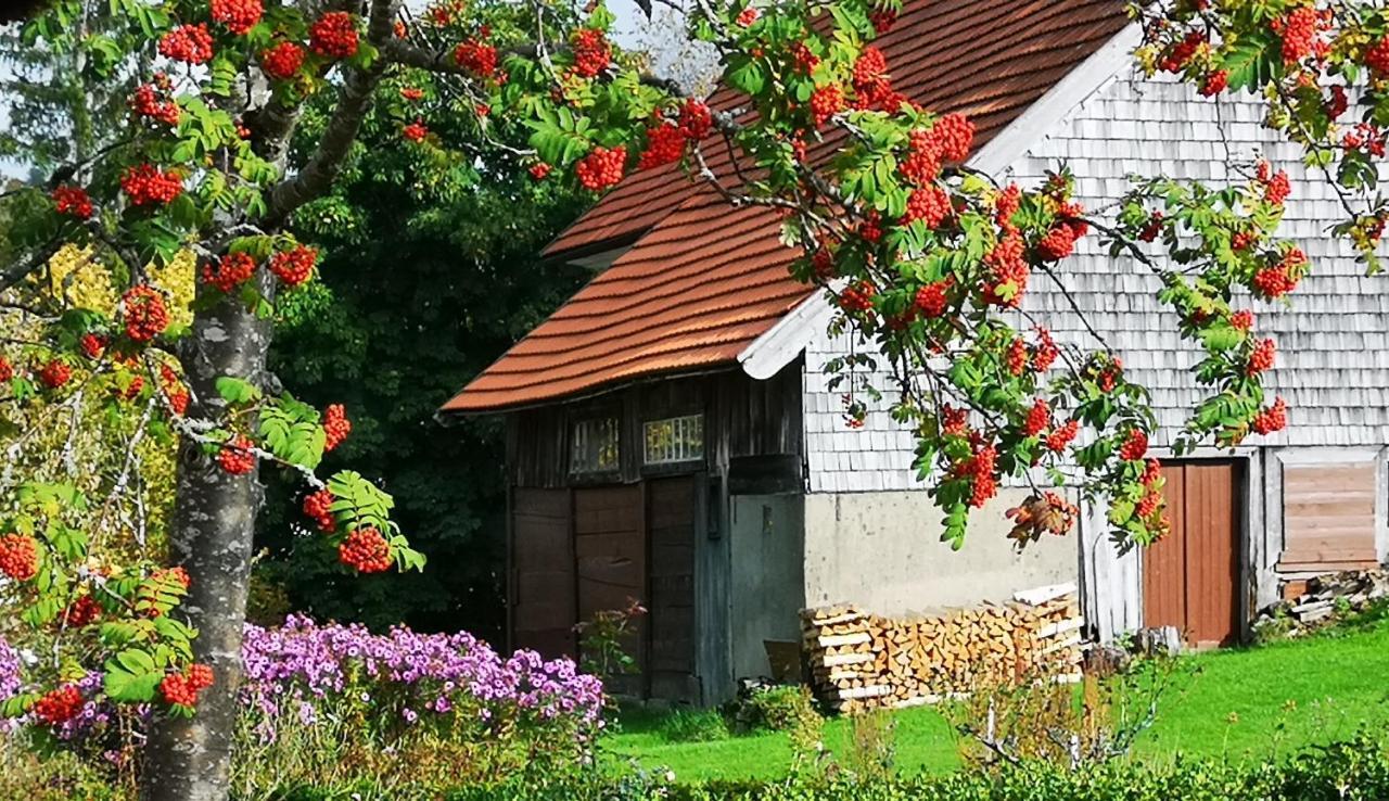 B1 Albmatte-Fewo Sauna, Hallenbad Aussenbecken Massagen Nebenan Menzenschwand-Hinterdorf Extérieur photo