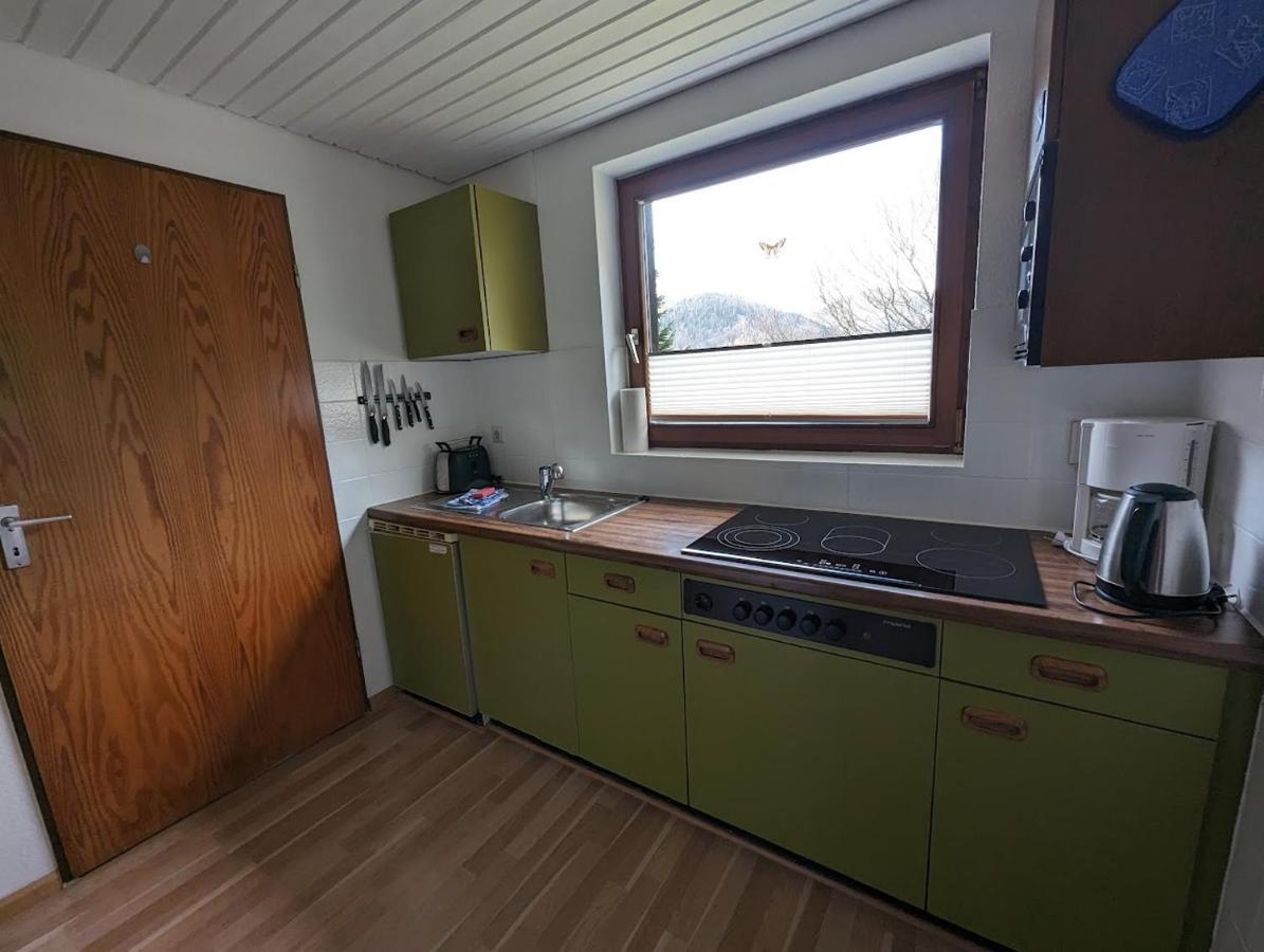 B1 Albmatte-Fewo Sauna, Hallenbad Aussenbecken Massagen Nebenan Menzenschwand-Hinterdorf Extérieur photo