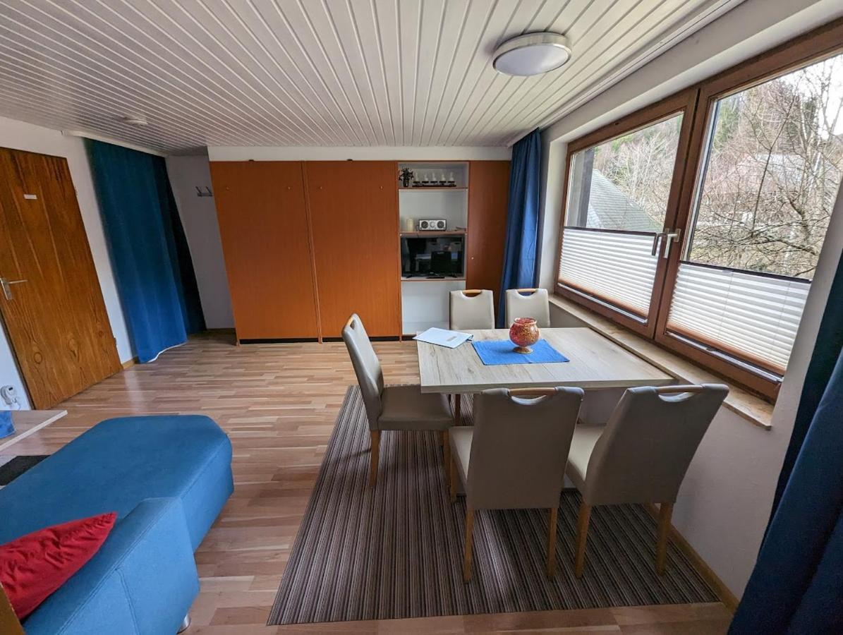 B1 Albmatte-Fewo Sauna, Hallenbad Aussenbecken Massagen Nebenan Menzenschwand-Hinterdorf Extérieur photo