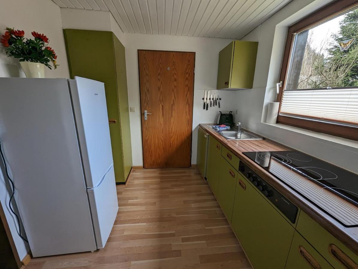 B1 Albmatte-Fewo Sauna, Hallenbad Aussenbecken Massagen Nebenan Menzenschwand-Hinterdorf Extérieur photo