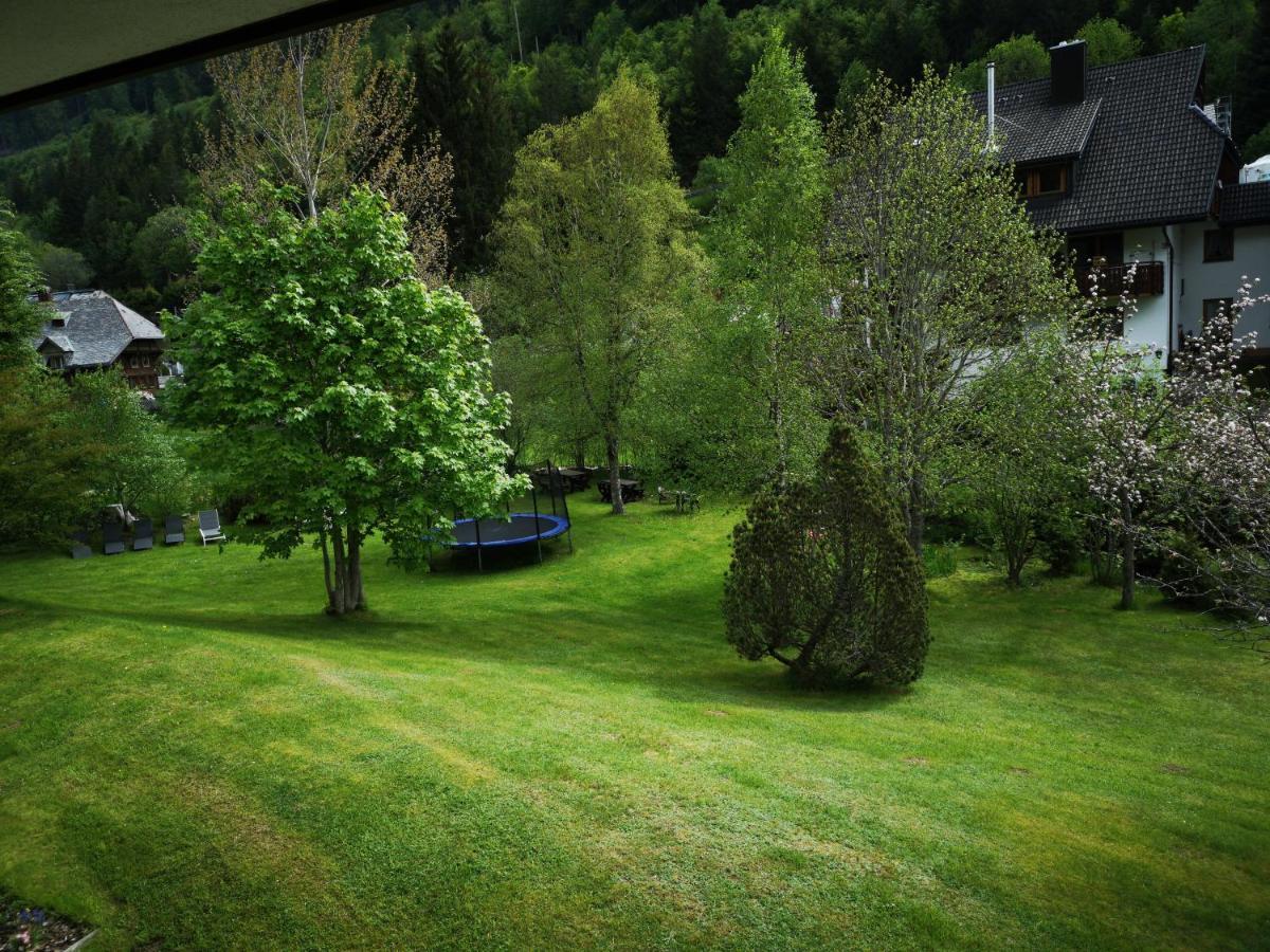B1 Albmatte-Fewo Sauna, Hallenbad Aussenbecken Massagen Nebenan Menzenschwand-Hinterdorf Extérieur photo