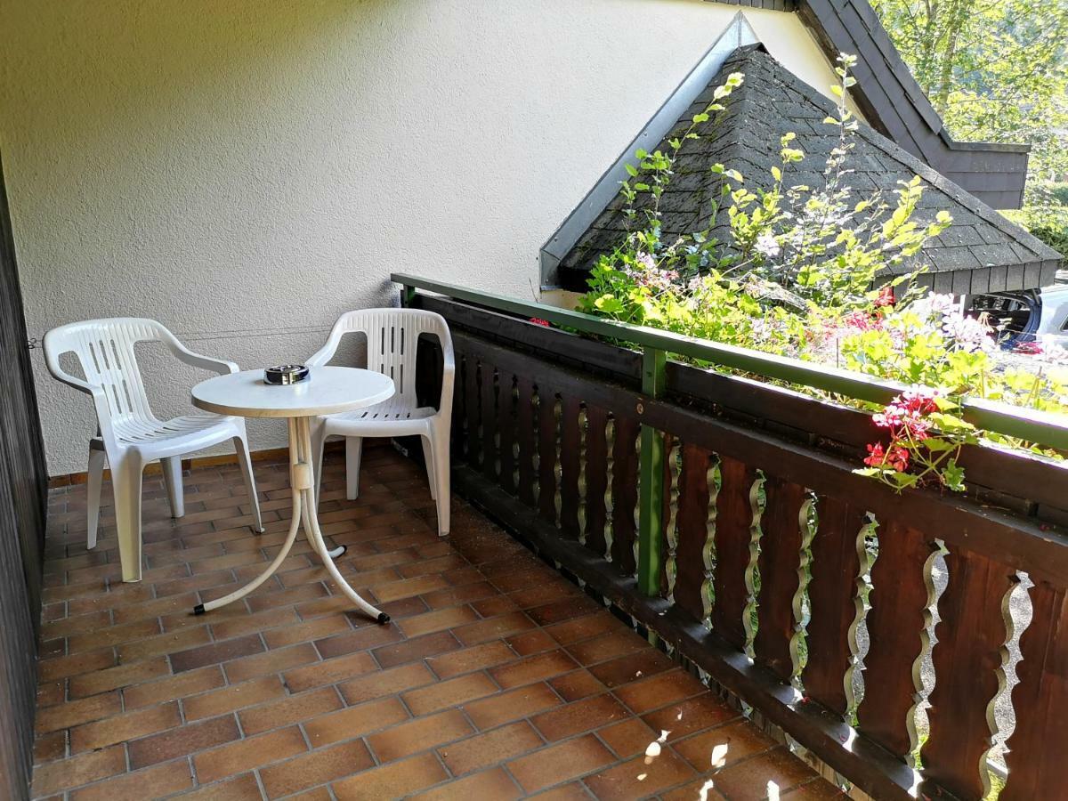 B1 Albmatte-Fewo Sauna, Hallenbad Aussenbecken Massagen Nebenan Menzenschwand-Hinterdorf Extérieur photo