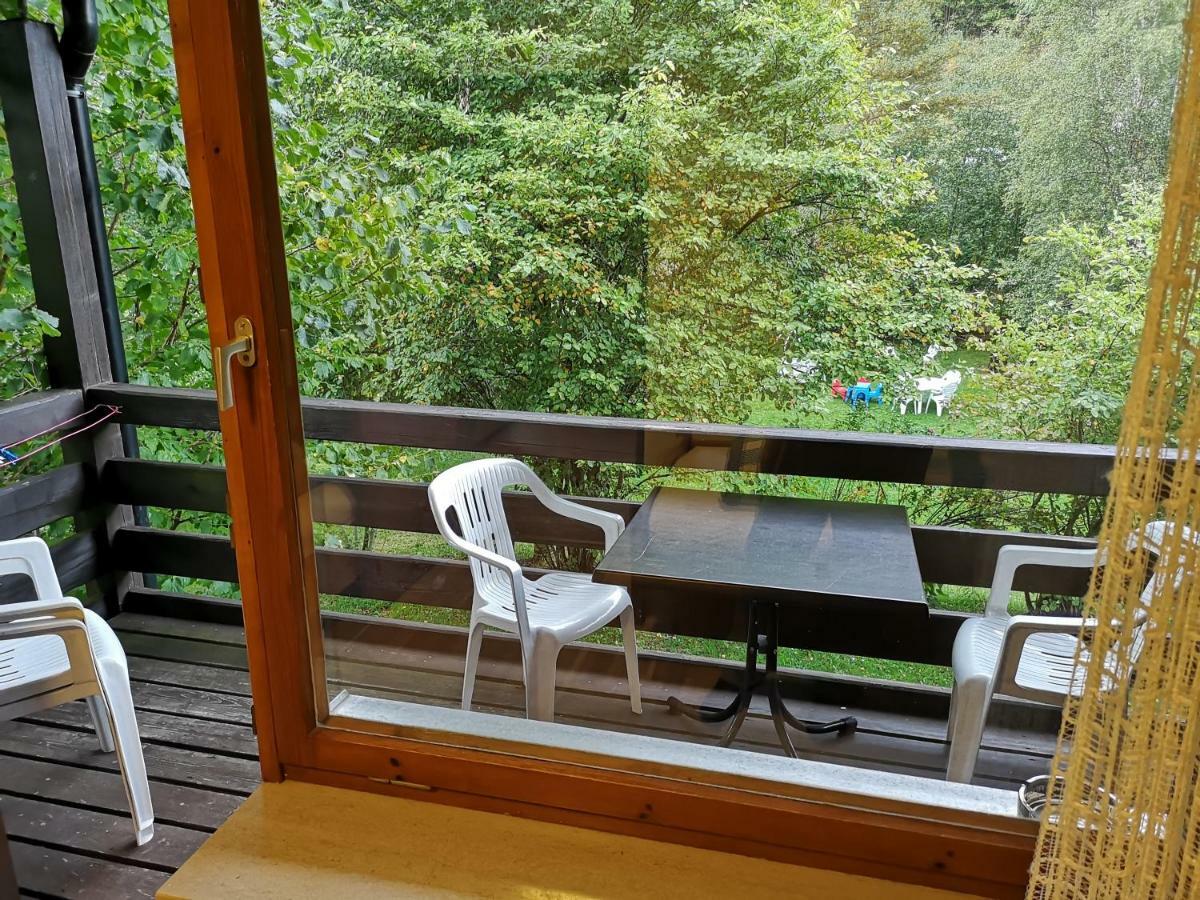 B1 Albmatte-Fewo Sauna, Hallenbad Aussenbecken Massagen Nebenan Menzenschwand-Hinterdorf Extérieur photo