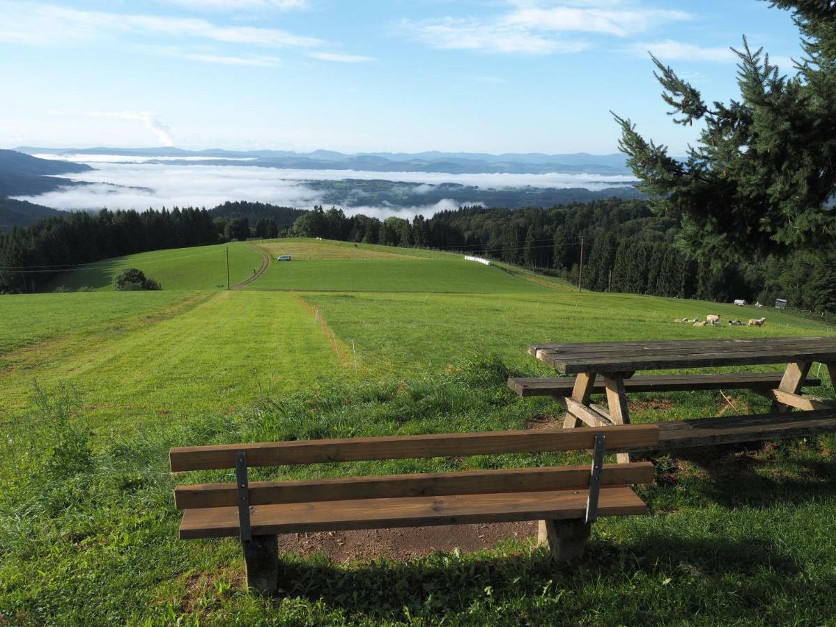 B1 Albmatte-Fewo Sauna, Hallenbad Aussenbecken Massagen Nebenan Menzenschwand-Hinterdorf Extérieur photo