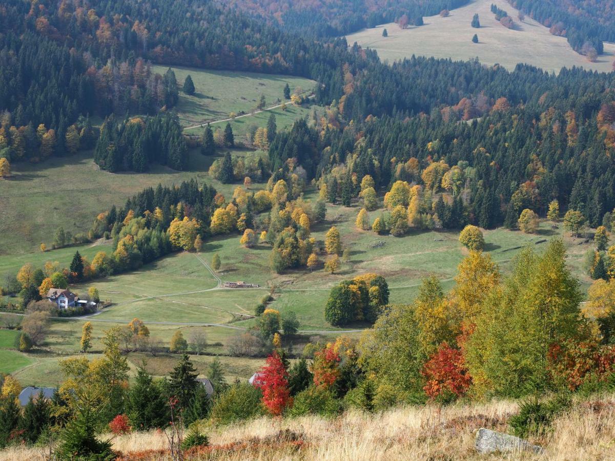B1 Albmatte-Fewo Sauna, Hallenbad Aussenbecken Massagen Nebenan Menzenschwand-Hinterdorf Extérieur photo