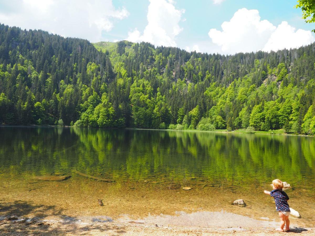 B1 Albmatte-Fewo Sauna, Hallenbad Aussenbecken Massagen Nebenan Menzenschwand-Hinterdorf Extérieur photo