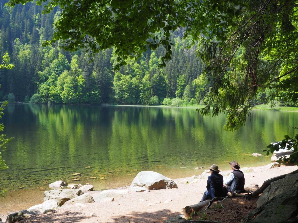 B1 Albmatte-Fewo Sauna, Hallenbad Aussenbecken Massagen Nebenan Menzenschwand-Hinterdorf Extérieur photo