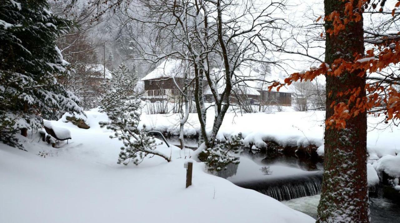 B1 Albmatte-Fewo Sauna, Hallenbad Aussenbecken Massagen Nebenan Menzenschwand-Hinterdorf Extérieur photo